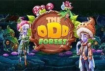 The Odd Forest Slot Review